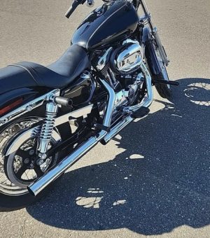 Crash bar traseiro Sportster 883/1200