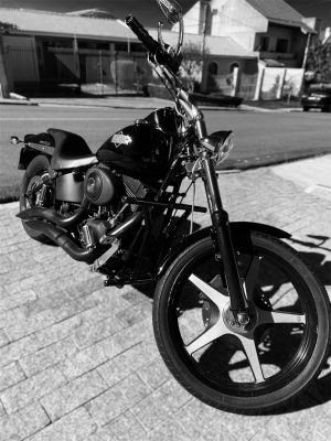 Crash Bar dianteiro Harley Davidson Softail
