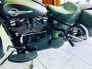 Mata gato Heritage 2018-2026